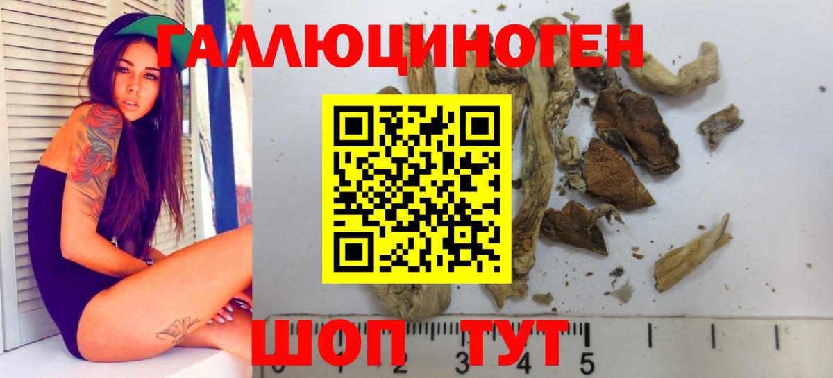 Галлюциногенные грибы Cubensis  Псилоцибиновые грибы ЛСД  Вход с VPN  Урюпинск 
